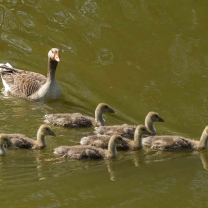 Untitled (93 Of 98).jpg